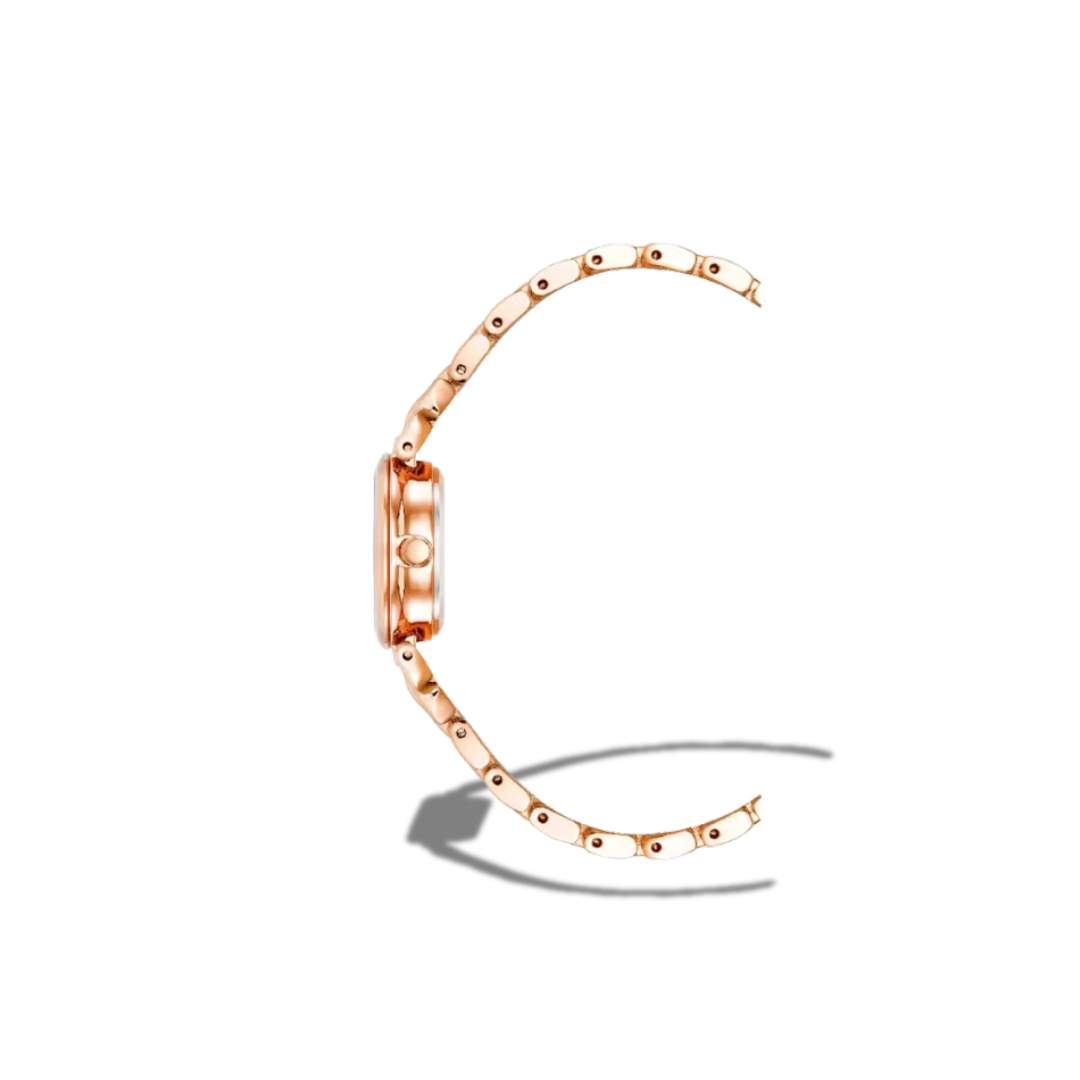 ANNE KLEIN WATCH AK/4144rgst