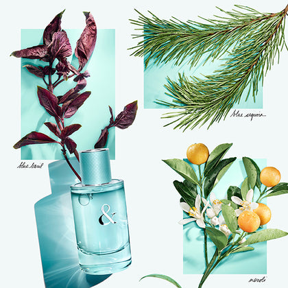 TIFFANY & CO LOVE EDP FEMME