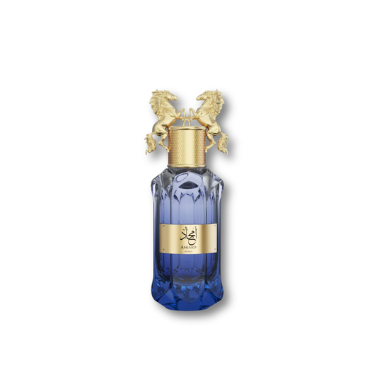 LE FALCONE AMJAAD NOBLE EDP HOMME