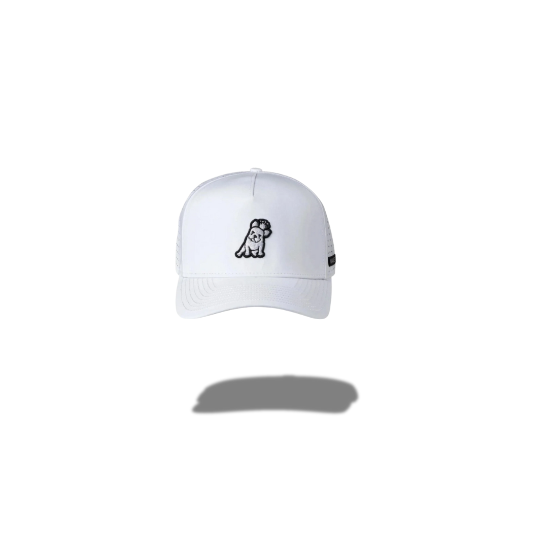 JAMES BARK RECYCLED CAP WHITE A71