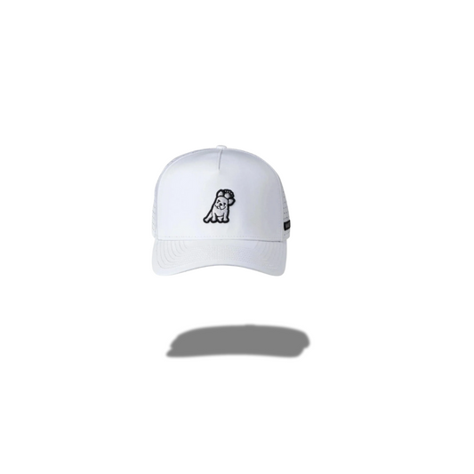 JAMES BARK RECYCLED CAP WHITE A71