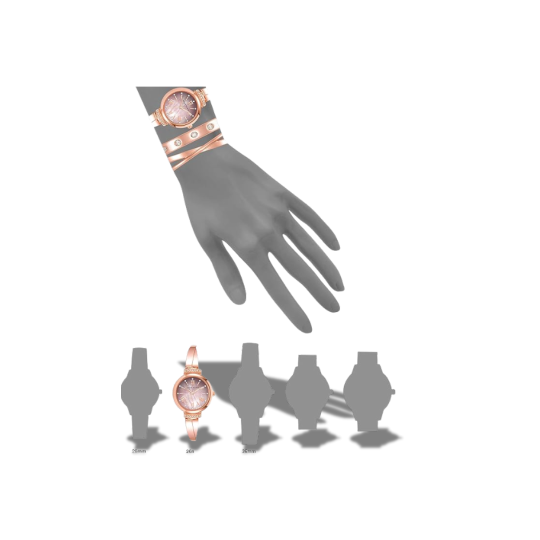 ANNE KLEIN WATCH AK/2244BHST