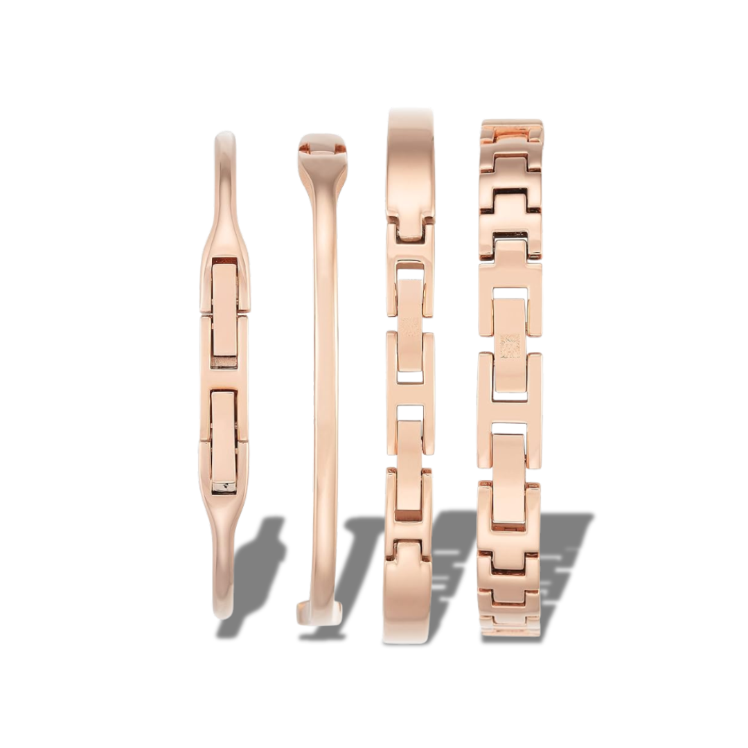 ANNE KLEIN WATCH AK/2716NVST