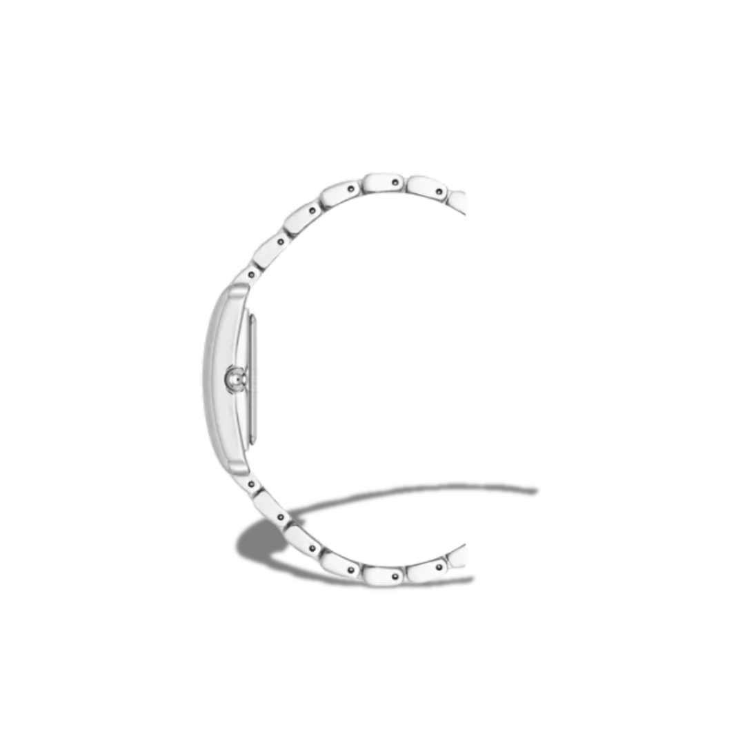 ANNE KLEIN WATCH AK/5061SVSV