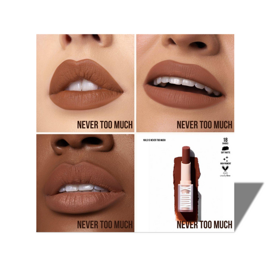 BEAUTY CREATIONS NUDE X NEVER TOO MUCH LIPSTICK