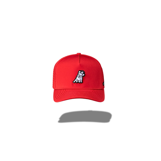 JAMES BARK RECYCLED CAP A71 RED