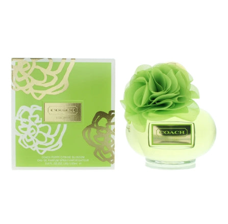 COACH POPPY CITRINE EDP FEMME