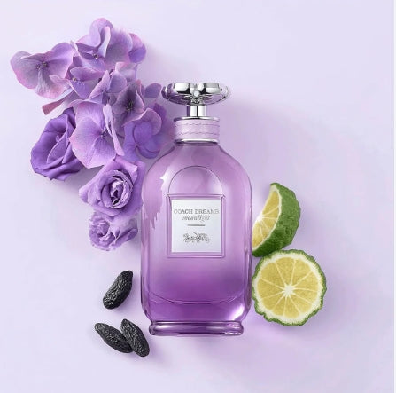 COACH DREAMS MOONLIGHT EDP FEMME